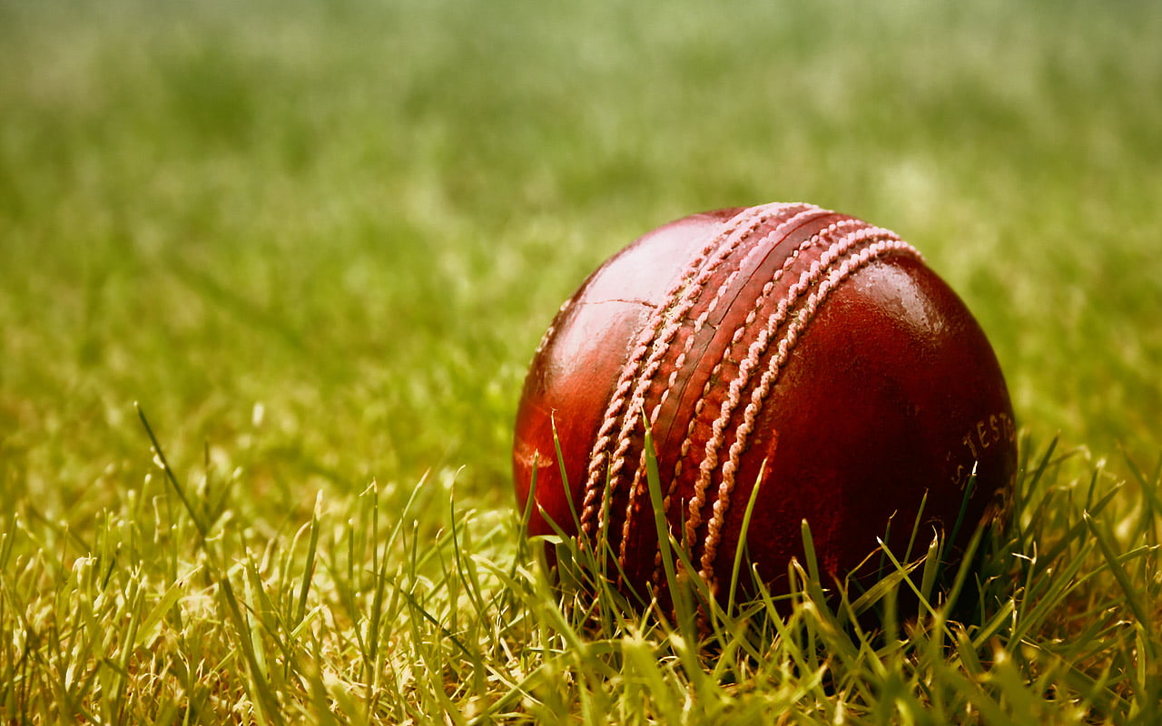 10 Essential Cricket Accessories to Buy on a Budget