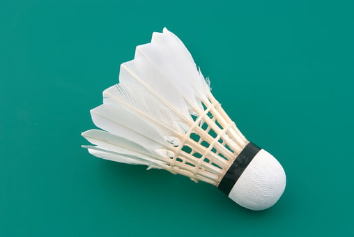 What Are The Different Types Of Shuttlecocks In Badminton And Their  Aerodynamics? » Science ABC