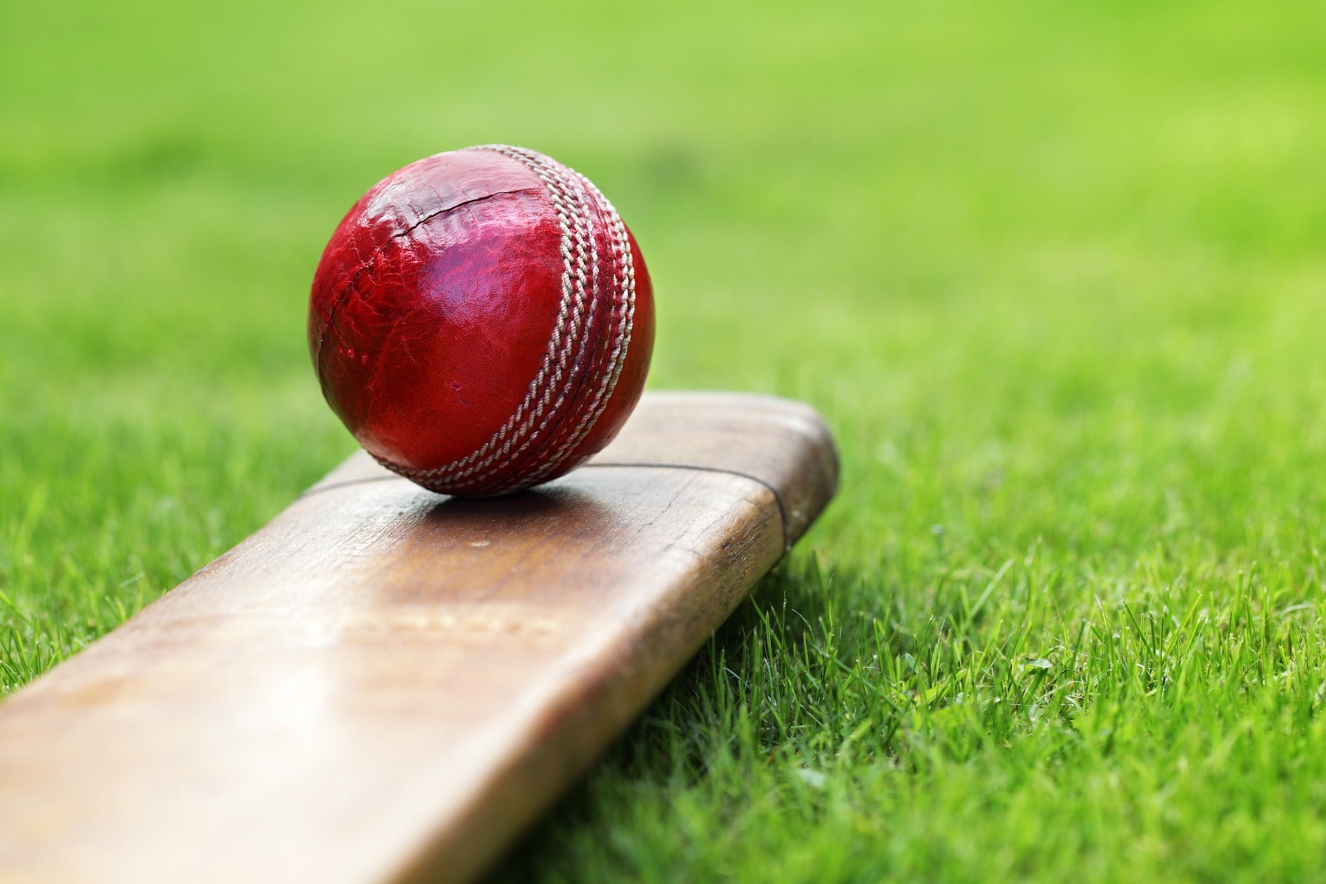 10 Essential Cricket Accessories to Buy on a Budget