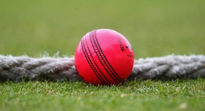 Pink Ball Test Cricket: The Pros and Cons