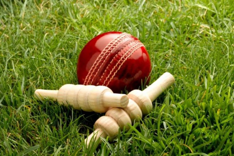 best cricket pitches in the world