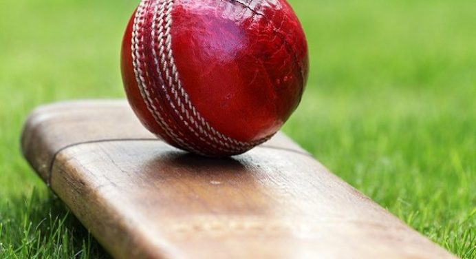 Here Is How You Can Prevent Your Cricket Bat From Damages