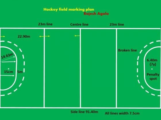 All You Need To Know About Rugby Field Dimensions | Playo