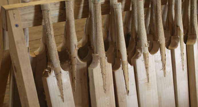 Are You Aware of the Different Types of Cricket Bat?