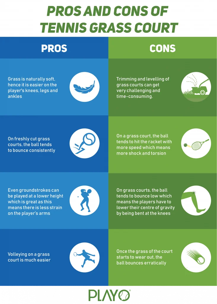 pros and cons of grass tennis court