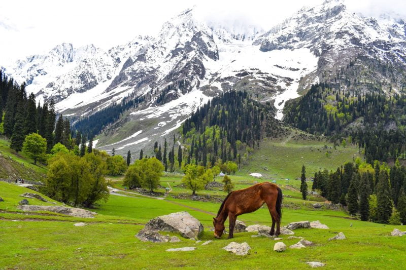 Kashmir Valley